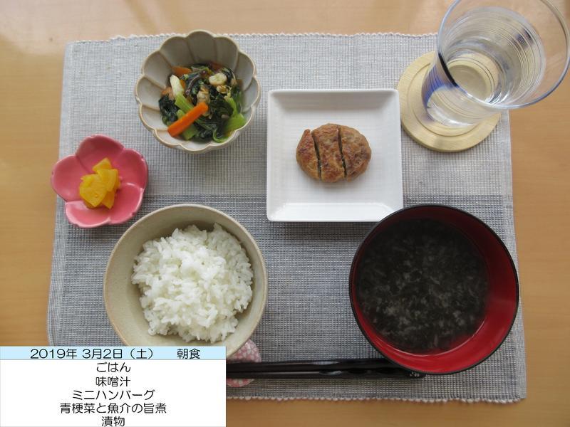 20190302a.JPG